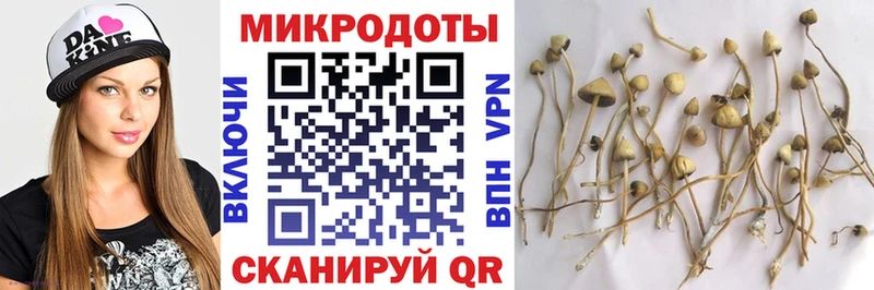 Купить закладки  Бузулук  Галлюциногенные грибы мухоморы 